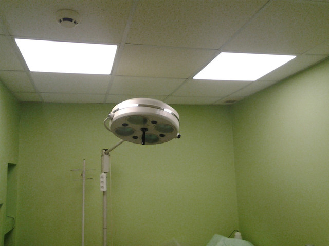Поставка и монтаж потолочных светодиодных светильников в ветеринарной клинике